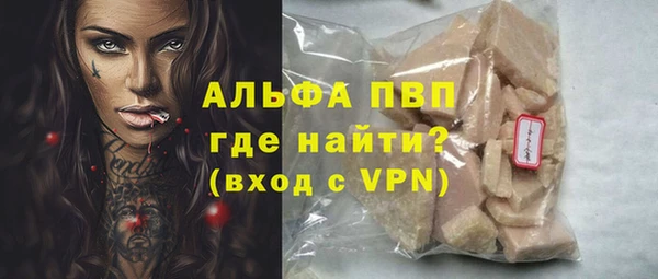 крисы Новокубанск