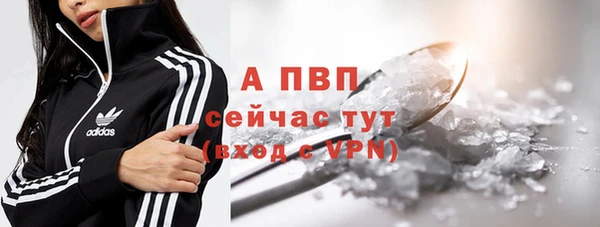 крисы Новокубанск