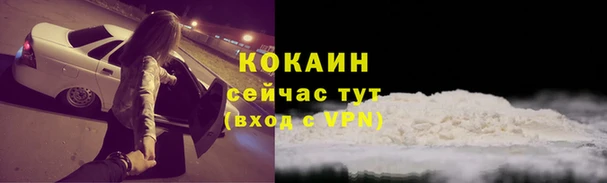 MDMA Новозыбков