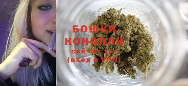 MDMA Новозыбков