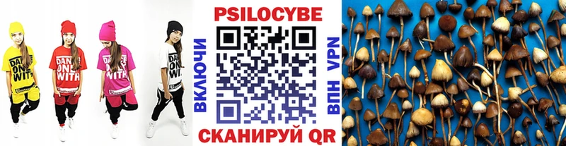Галлюциногенные грибы Psilocybine cubensis  наркота  Балабаново 
