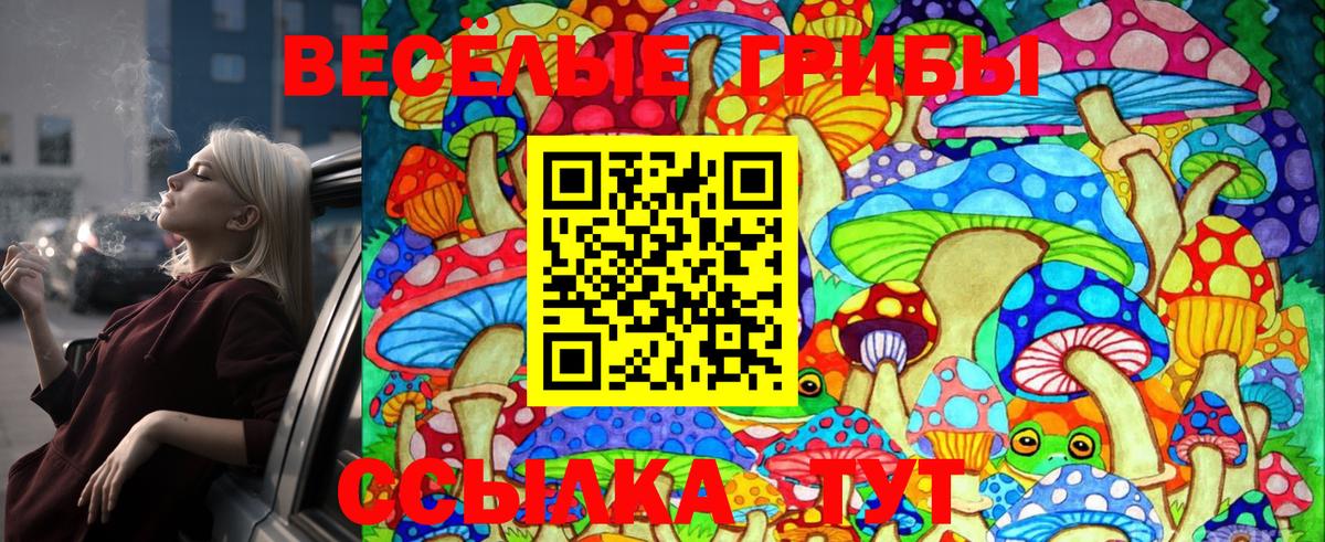 Псилоцибиновые грибы Cubensis  Балабаново  Галлюциногенные грибы Cubensis 