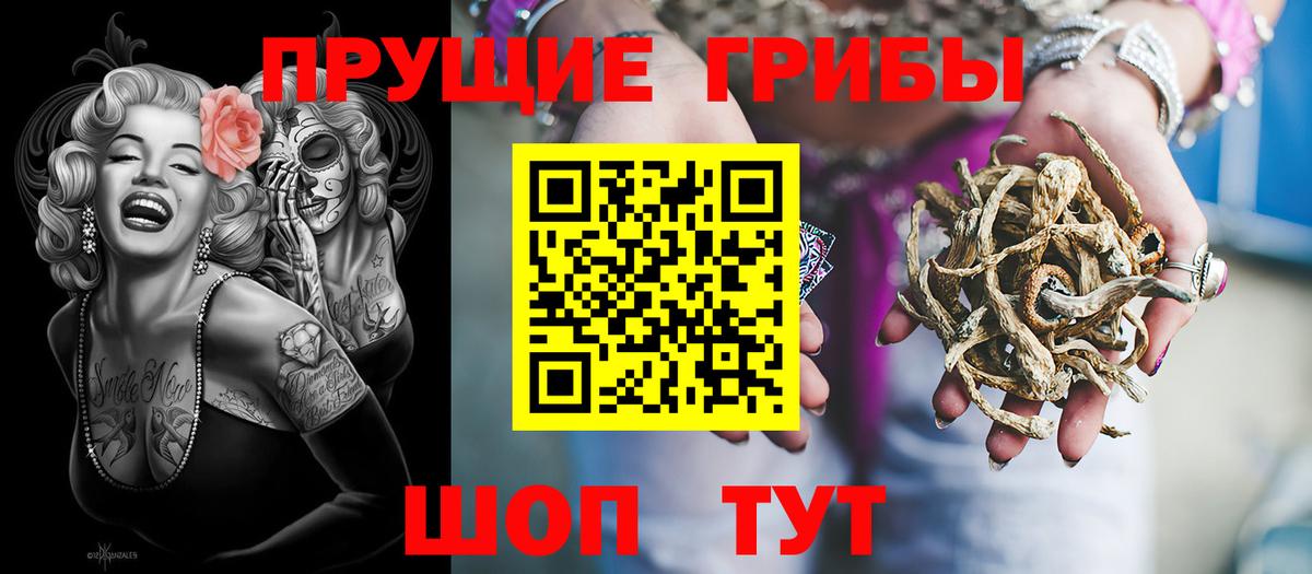 Галлюциногенные грибы Cubensis  Вход с VPN  что такое   Балабаново  Галлюциногенные грибы Psilocybine cubensis 